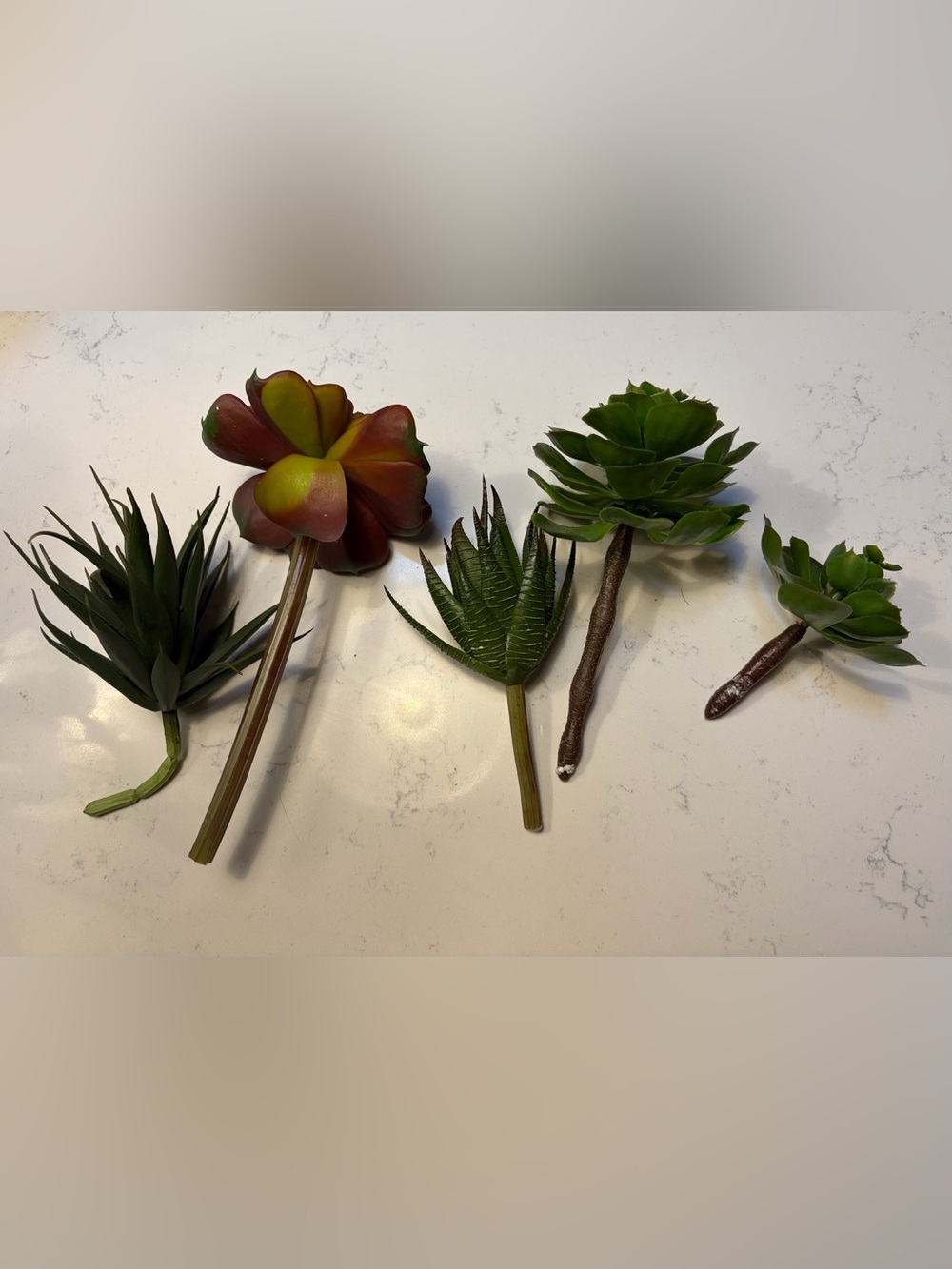 Set of Five Artificial Succulent Picks in Green and Red - Home Accents